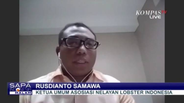 CuplikCom-Asosiasi-Nelayan-Lobster-Kritisi-Penghentian-Ekspor-Benur-Oleh-KKP-29112020194717-20201129_194445.jpg