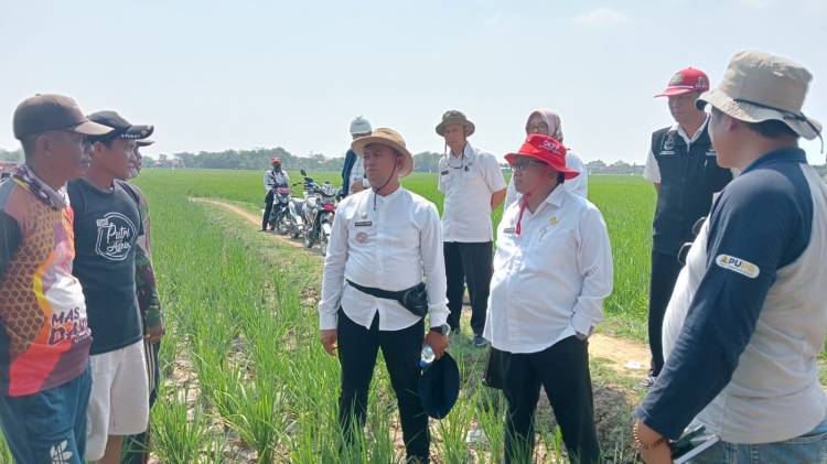 CuplikCom-Atasi-Kekeringan-Sawah,-Bupati-Nina-Perintahkan-Kepala-DKPP-Turun-Lapangan-10082023164149-IMG-20230810-WA0047.jpg