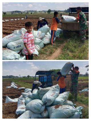 CuplikCom-Babinsa-Kodim-0421Ls-Membantu-Petani-Dalam-Pendistribusian-Pupuk-Organik-07052023172326-IMG_20230507_172030.jpg
