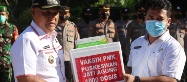 CuplikCom-Dapatkan-6500-Dosis,-Vaksinasi-PMK-Di-Kabupaten-Lampung-Selatan-Akan-Segera-Dilaksanakan-29062022142343-IMG-20220629-WA0017-864x380.jpg