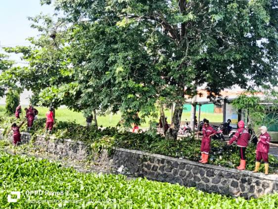 CuplikCom-Dikeluhkan-Warga,-Diskimrum-Indramayu-Langsung-Bersihkan-Lautan-Eceng-Gondok-di-Dekat-Dayung-28042024123035-IMG-20240428-WA0054.jpg