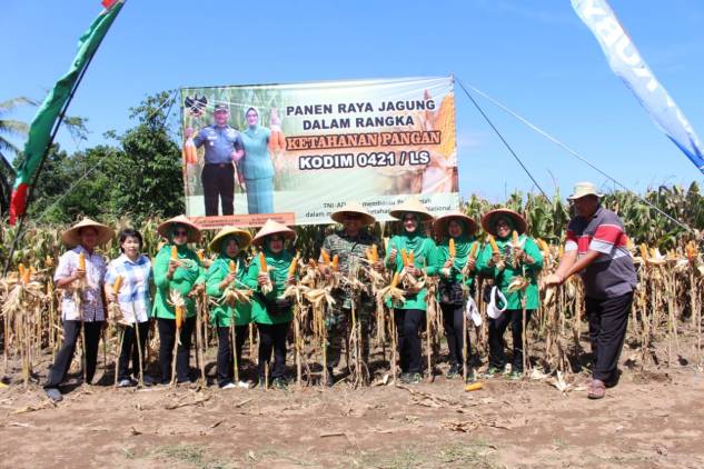 CuplikCom-Dukung-Program-Ketahanan-Pangan-di-Lamsel,-Kodim-0421-Menggelar-Panen-Raya-Jagung-10022023144501-IMG-20230210-WA0012.jpg