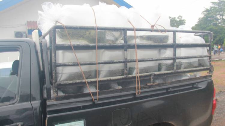 CuplikCom-Genjot-Produksi,-KKP-Salurkan-350-ribu-Benih-Ikan-Air-Tawar-di-Kalimantan-23052021194022-20210523_193423.jpg