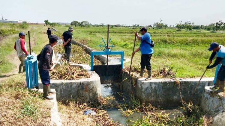 Gotong Royong Sambut MT 1, Warga Losarang Bersihkan Saluran Irigasi dari Eceng Gondok CuplikCom-Gotong-Royong-Sambut-MT-1,-Warga-Losarang-Bersihkan-Saluran-Irigasi-dari-Eceng-Gondok-31102025210533-Normalisasi_Saluran_Irigasi.jpg