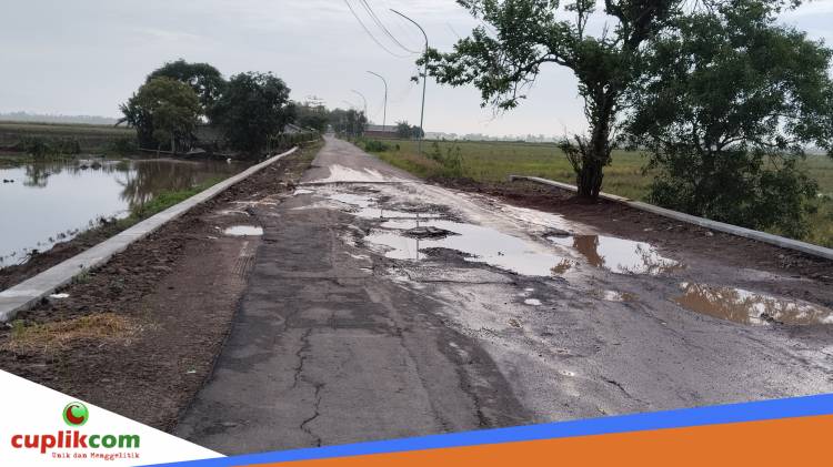 Jalan Bongas-Gabuswetan Rusak, Warga Protes Desak Perbaikan CuplikCom-Jalan-Bongas-Gabuswetan-Rusak,-Warga-Protes-Desak-Perbaikan-18112025192826-Jalan_Rusak_di_Desa_Drntenkulon.jpg