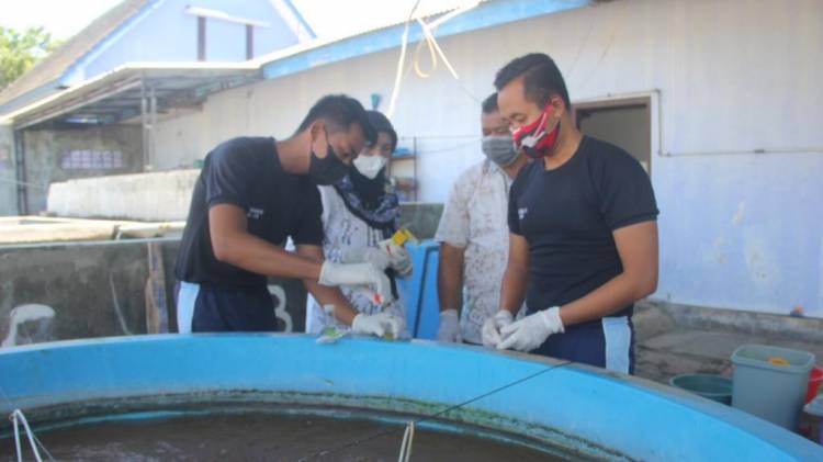 KKP Berikan Pelatihan Budidaya Sistem Bioflok di 4 Kabupaten Provinsi NTT CuplikCom-KKP-Berikan-Pelatihan-Budidaya-Sistem-Bioflok-di-4-Kabupaten-Provinsi-NTT-21042021185512-20210421_184438.jpg