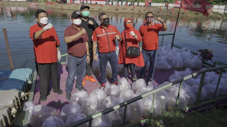 CuplikCom-KKP-Salurkan-Bantuan-Benih-Ikan-Air-Tawar-di-Jakarta-Selatan-21032021133633-20210321_132804.jpg