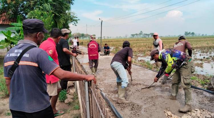 CuplikCom-Keren,-Pemdes-Gabuswetan-Gunakan-Dana-Desa-Untuk-Bangun-Jalan-Beton-Ready-Mix-15052025100417-IMG-20250515-WA0012.jpg