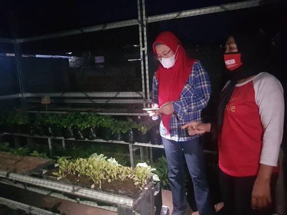 CuplikCom-Kunjungi-Kelompok-Wanita-Tani,-Nina-Agustina-Dorong-Kemandirian-Petani-04102020192810-20201004_181333_compress37.jpg
