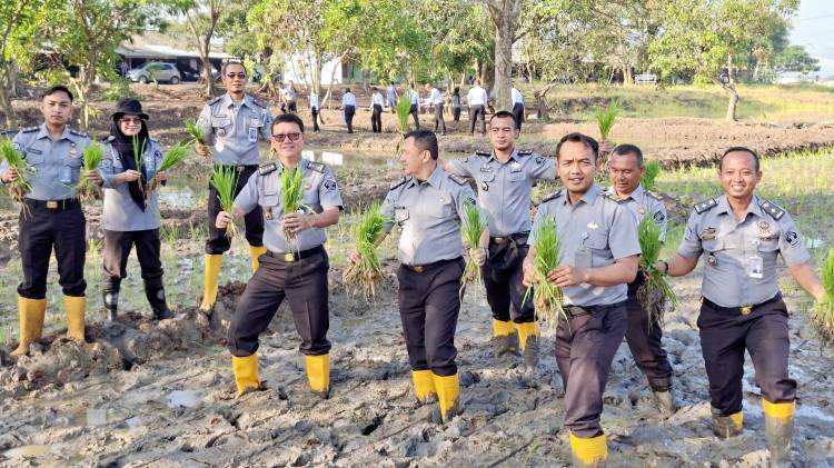 CuplikCom-Lapas-Narkotika-Cirebon-Galakkan-Tanam-Padi-Wujudkan-Ketahanan-Pangan-Mandiri-08072025190017-IMG-20250708-WA0054.jpg
