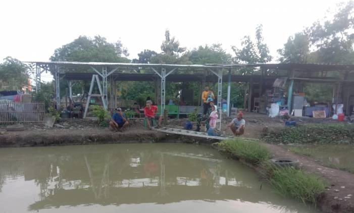 Lokasi Nyaman, Kolam Pemancingan Rizky Putra Gemoy Desa Krimun Losarang Jadi Primadona Angler CuplikCom-Lokasi-Nyaman,-Kolam-Pemancingan-Rizky-Putra-Gemoy-Desa-Krimun-Losarang-Jadi-Primadona-Angler-19042025181825-IMG-20250419-WA0003.jpg