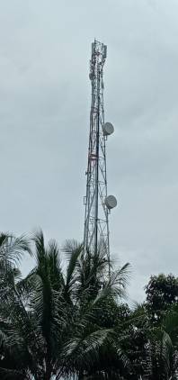 CuplikCom-Makhga-Putih-Doh-Kecamatan-Cukuh-Balak-Kabupaten-Tanggamus-Keluhkan-Signal-Telkomsel-23122022162955-IMG-20221223-WA0078.jpg