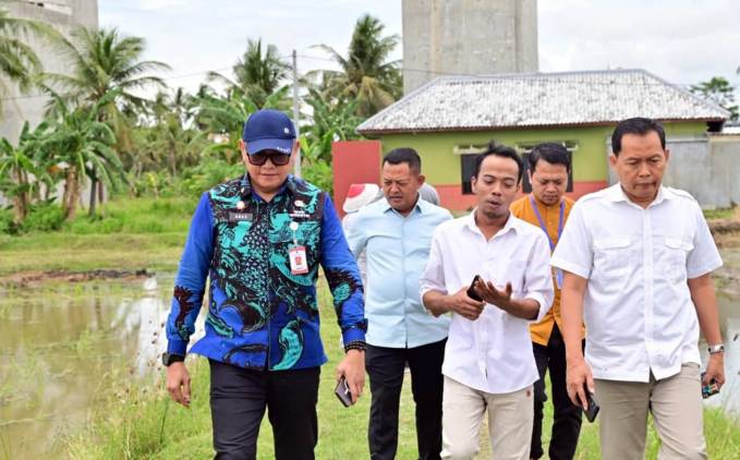 CuplikCom-Padi-Biosalin,-Inovasi-Cerdas-Ubah-Tambak-Asin-Jadi-Sawah-Produktif-di-Lampung-Selatan-24102025224347-IMG-20251024-WA0030.jpg