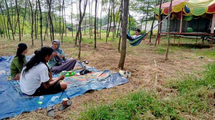 CuplikCom-Pohon-Cemara-Pantai-Ujung-Ori-Patrol-Indramayu,-Lokasi-Favorit-Santai-Saat-Liburan-12052025153416-IMG-20250512-WA0002.jpg