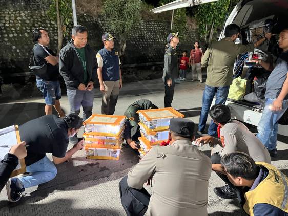 CuplikCom-Ratusan-Burung-Liar-Diamankan-Tim-Gabungan-KSKP-dan-BKSDA-Lampung-Serta-Karantina-di-Pelabuhan-Bakauheni-13092025111726-IMG-20250913-WA0018.jpg