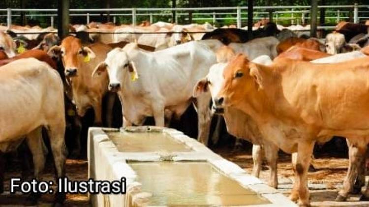 Satu Tahun di PHK, Karyawan PT. FMP Belum Dapat Pesangon dan Tuntut Seluruh Haknya Selama Bekerja CuplikCom-Satu-Tahun-di-PHK,-Karyawan-PT-FMP-Belum-Dapat-Pesangon-dan-Tuntut-Seluruh-Haknya-Selama-Bekerja-03012025152301-IMG-20250103-WA0022.jpg