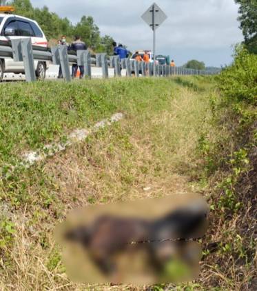 Sesosok Mayat Anonim Diduga Berjenis Kelamin Laki-laki Tergeletak di Drainase Tol Bakter CuplikCom-Sesosok-Mayat-Anonim-Diduga-Berjenis-Kelamin-Laki-laki-Tergeletak-di-Drainase-Tol-Bakter-28102024113601-IMG_20241028_113320.jpg