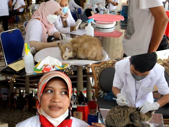 CuplikCom-Vaksin-Rabies-Gratis-Dalam-Rangka-World-Rabies-Day-dan-HUT-Indramayu-ke-494-28092021231410-PhotoGrid_Plus_1632845279341.jpg
