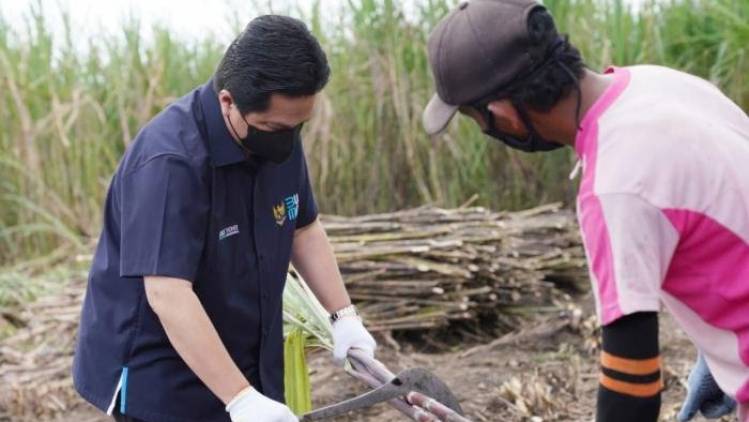 Wujudkan Swasembada Gula, Erick Thohir Minta Petani Dilibatkan CuplikCom-Wujudkan-Swasembada-Gula,-Erick-Thohir-Minta-Petani-Dilibatkan-18092021165338-20210918_164931.jpg